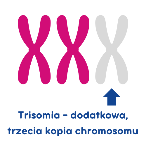 Trisomia - dodatkowa, trzecia kopia chromosomu